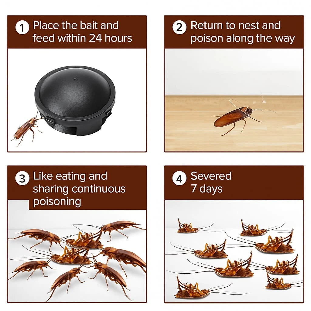 🌿NatureShield Plant-Based Roach Control – Made in Japan (12 Pcs)